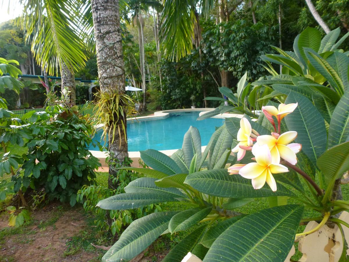 Villa Marine Holiday Apartments Cairns Yorkeys Knob Δωμάτιο φωτογραφία