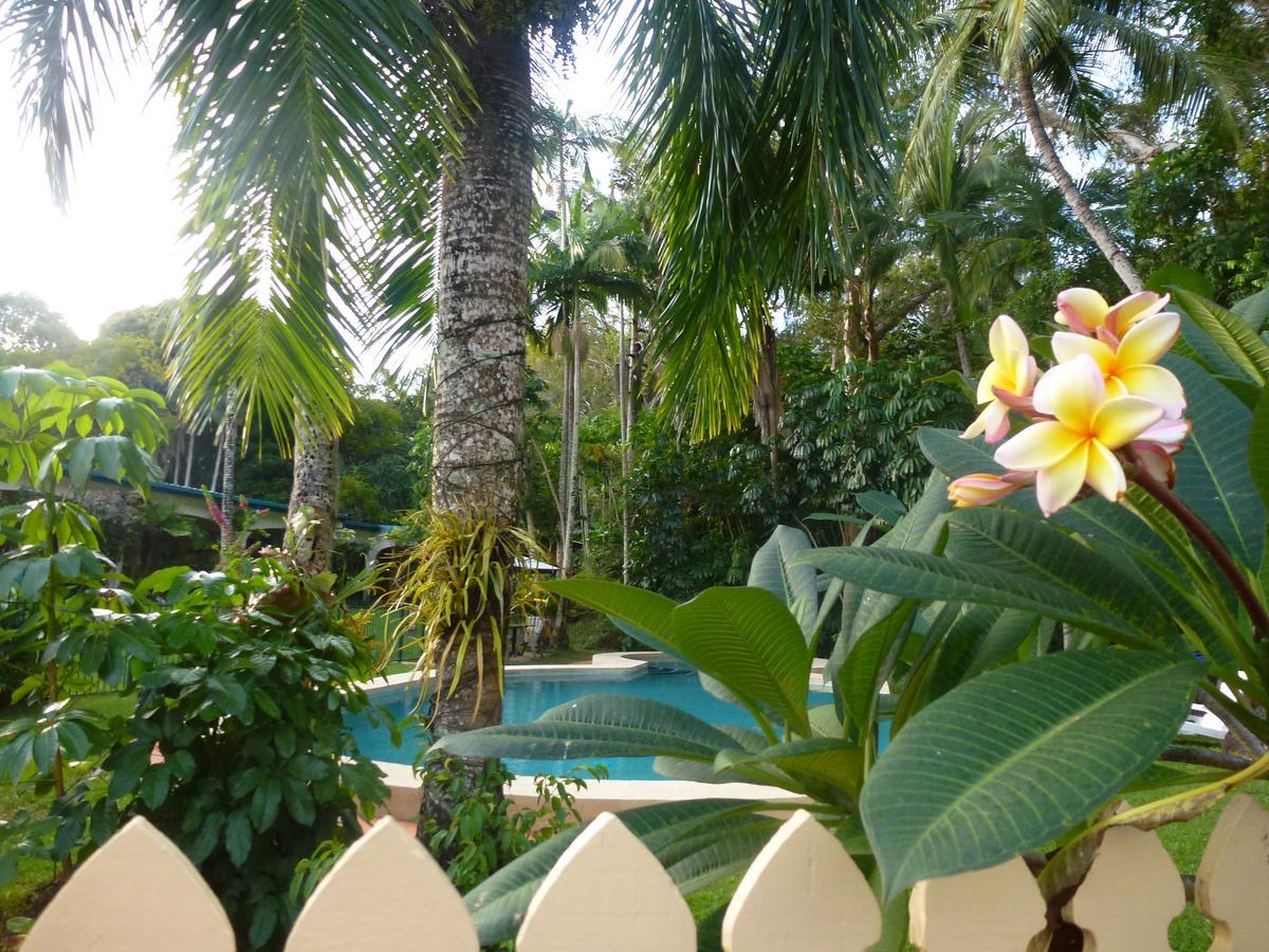 Villa Marine Holiday Apartments Cairns Yorkeys Knob Εξωτερικό φωτογραφία